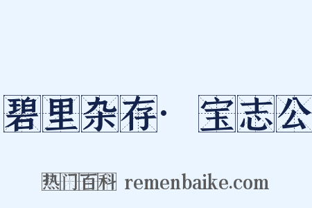 碧里杂存·宝志公是什么意思的图片